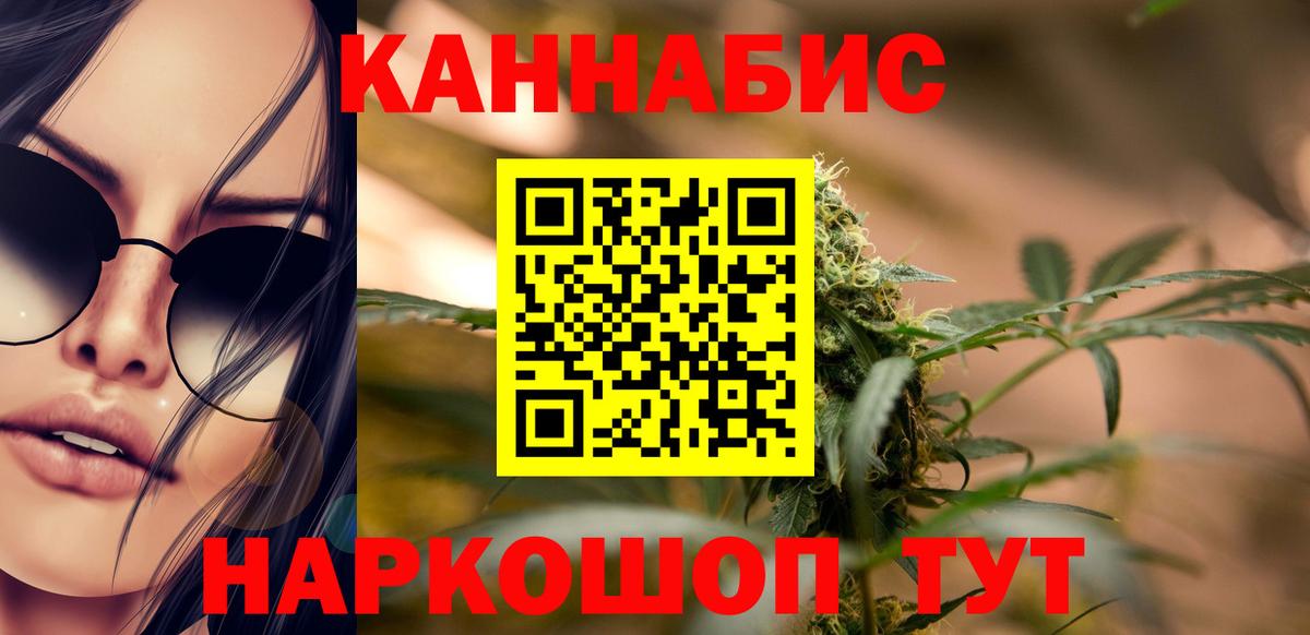 Каннабис индика Волжский
